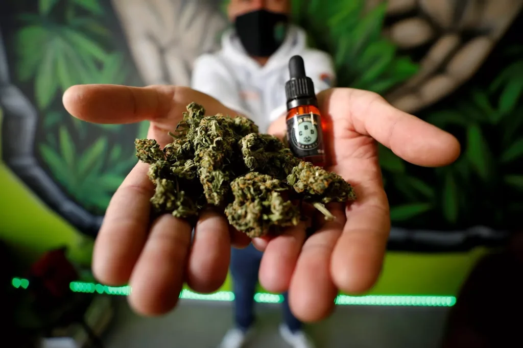 fleur et flacon d'huile au cannabis