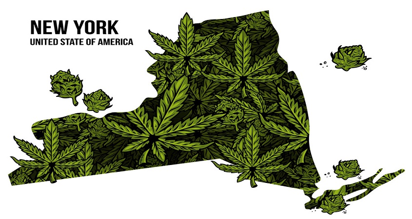 New York, United State of America Feuilles de cannabis - Cannabig Info