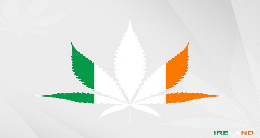 Cannabis avec le drapeau Irlande en fond - Cannabig Info