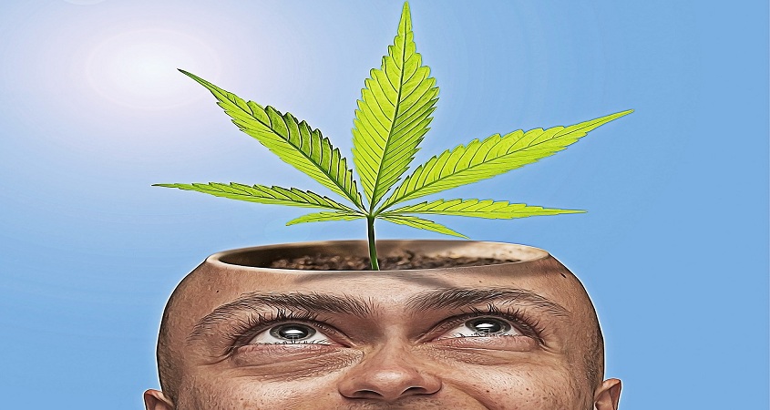 Caricature homme addict à la marijuana, dépendance au THC - Cannabig Info