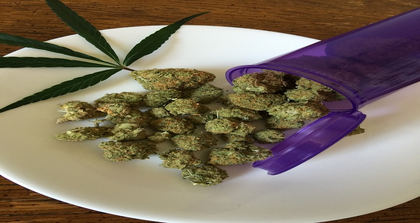 Flacon violet avec des fleurs de cannabis, et une feuille de cannabis à côté - Cannabig Info