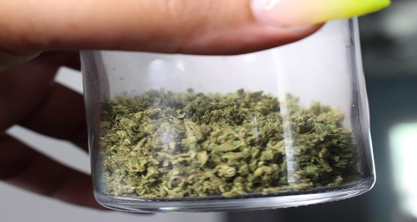 Une main féminine prend du cannabis dans un bocal transparent - Cannabig Info