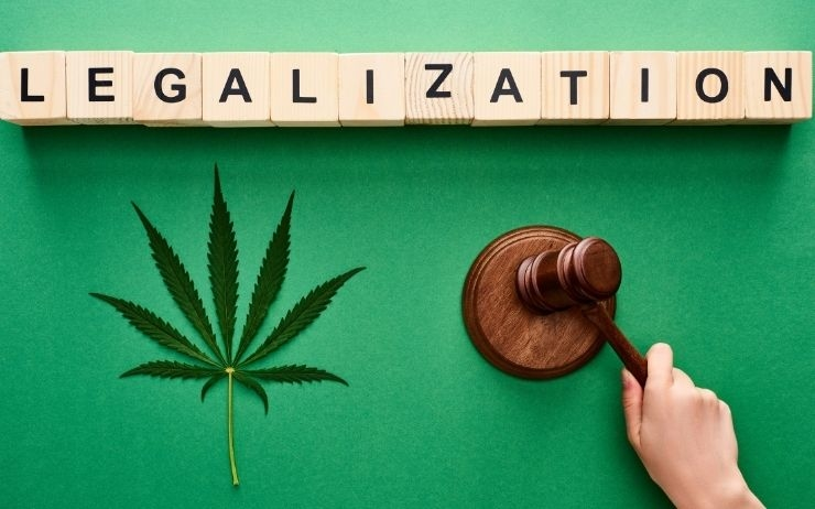 Photo du mot "légalisation" avec une feuille de cannabis et un marteau 
