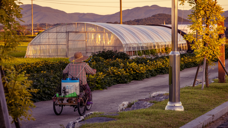 Photo de pesticides agriculture chanvre