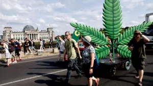 plan de légalisation du cannabis