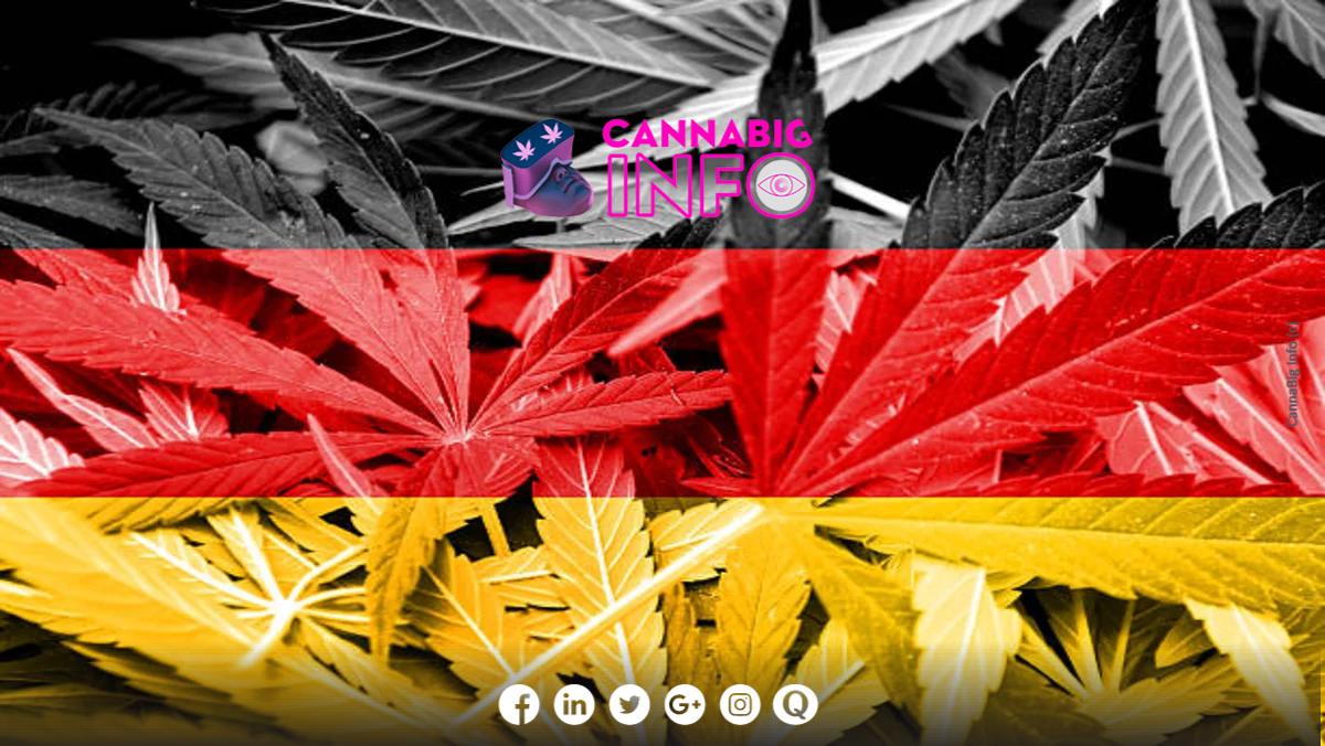 Allemagne La L Galisation Du Cannabis En 2024 Remise En Question   Istockphoto 467667284 612x612 Overlay 