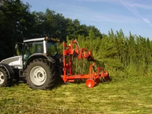 loi sur le chanvre industriel