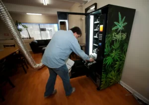 dispensaires de marijuana 