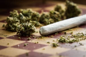 le maire et la légalisation du cannabis