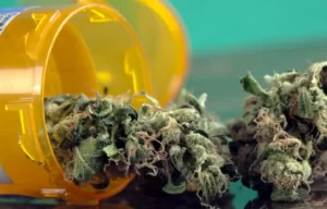 fin de l'abus d'opioïdes avec le CBD