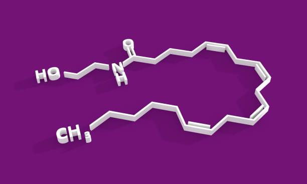 anandamide