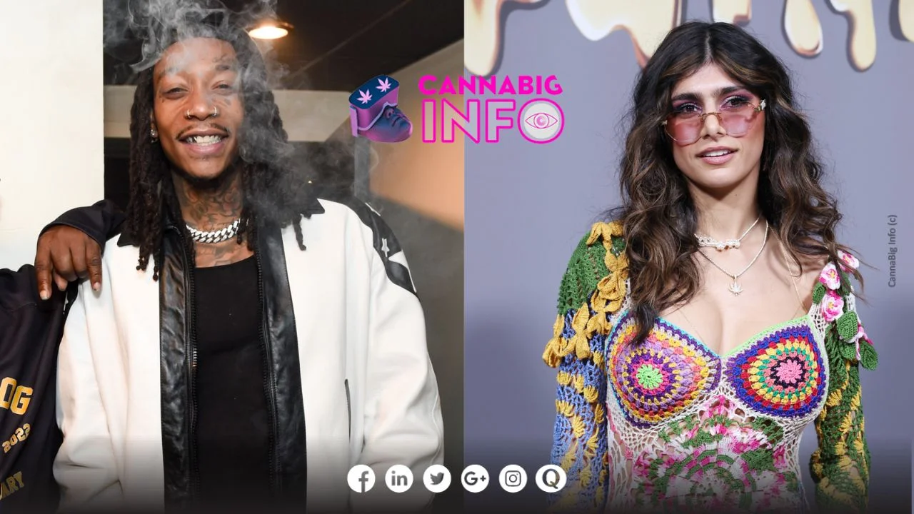 Collaboration entre Wiz Khalifa et Mia Khalifa » Cannabig info : Votre  média dactualités et dinfos en direct 100% cannabis !