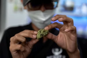 dépénalisation du cannabis en Thaïlande