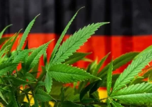 décision de la légalisation du cannabis en Allemagne