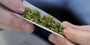 fouille de marijuana en Illinois