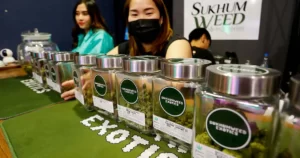 industrie du cannabis au Thaïlande: réforme