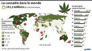 Évolution des politiques de légalisation du cannabis depuis 2023 : un panorama mondial