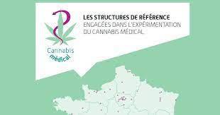 THC / tabagisme passif / CBD / cannabis médical :  La nouvelle pandémie du permis de conduire français