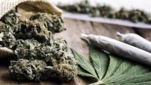 marijuana au Michigan