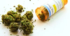 douleur chronique et cannabis