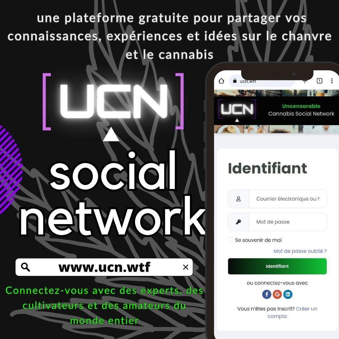 UCN, Le Cannabis en 2023 : Une Révolution Mondiale