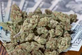 Maryland cannabis
