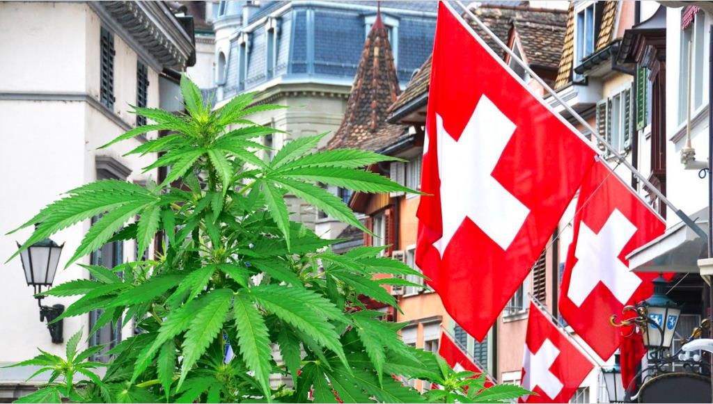 Cannabis : Une révolution silencieuse en Suisse