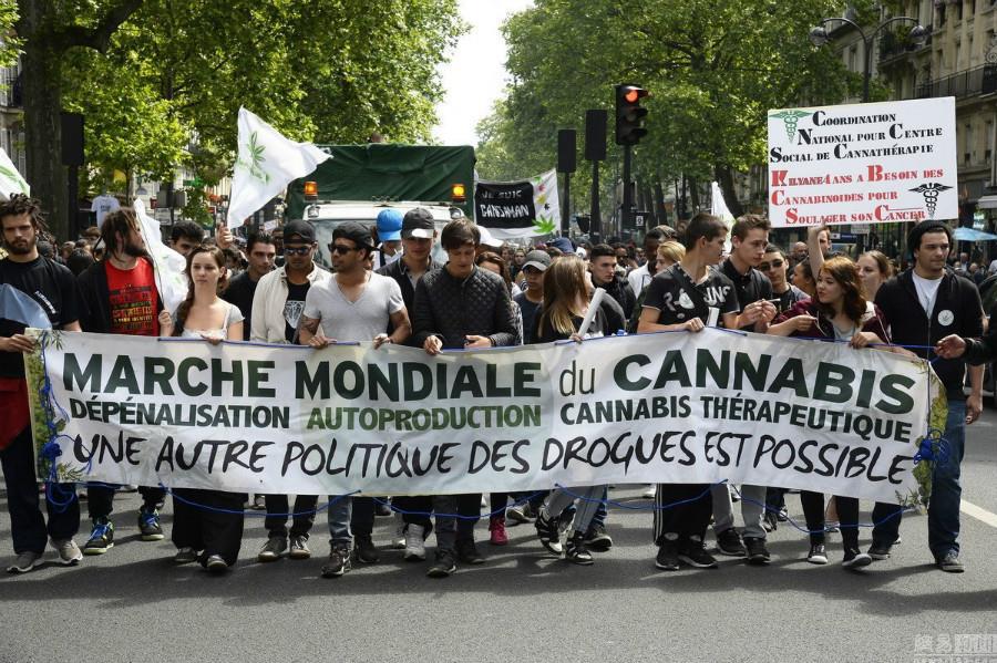 Cannabis Médical PLFSS 2024 : Alerte Rouge ! L'Union et l'Action Immédiate sont Impératives !
