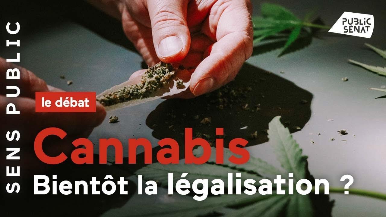 Les arguments contre la légalisation du cannabis en France sont-ils vérifiables ?