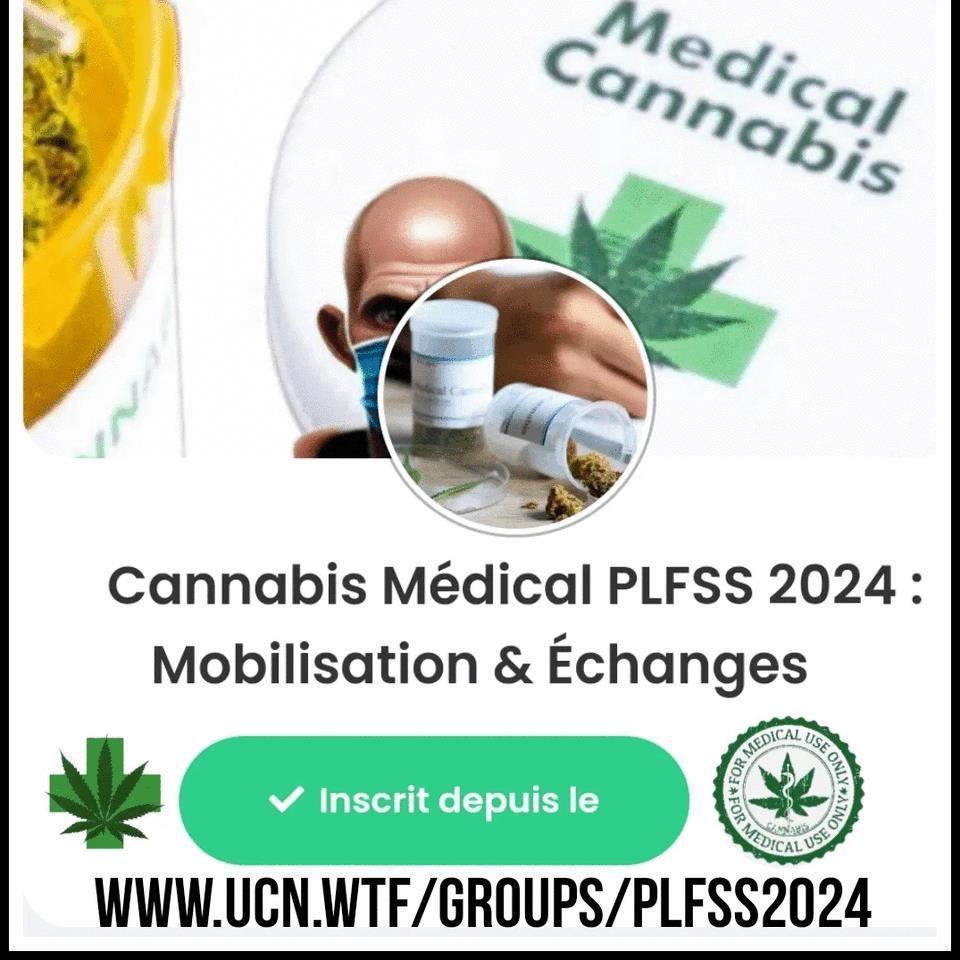 Le Cannabis Médical Face à un Mur Politique : Décryptage de son Exclusion du PLFSS 2024 et Pistes pour l'Avenir
