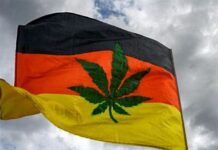 L'Allemagne franchit le pas : le cannabis désormais légal pour un usage personnel