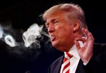 Donald Trump Soutient la Légalisation du Cannabis Récréatif en Floride : Un Tournant pour l'État du Soleil